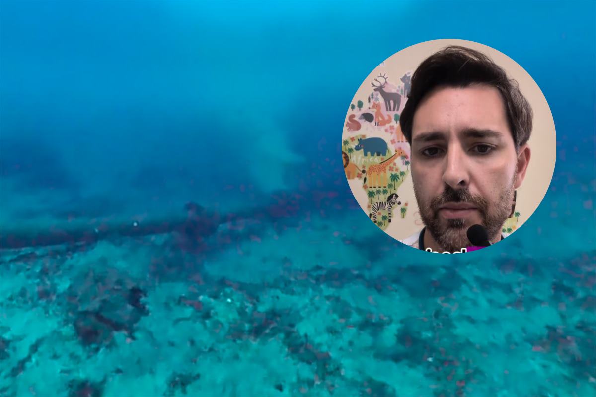 Federico Gentile, pediatra, tajante sobre las infecciones de niños este verano: "Nunca ha sido tan peligroso darse un baño en el mar"