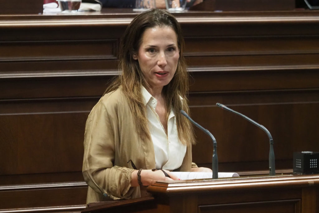 La portavoz socialista en el Ayuntamiento de Santa Cruz de Tenerife, Patricia Hernández. | DA