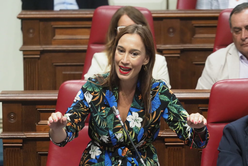 Nira Fierro insta a Manuel Domínguez a que dé la cara y se implique en los "grandes acuerdos de Canarias"