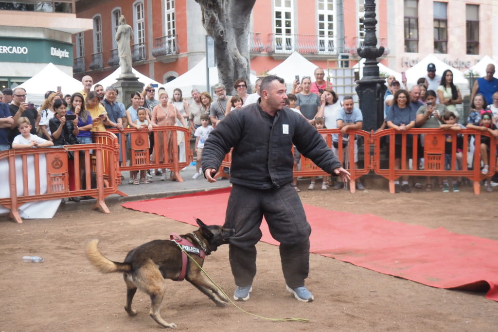 El Día de los Animales al ritmo del Pisaca Fest: mascotas y música llenan de ambiente Santa Cruz