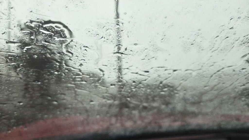 En algunos puntos de Tenerife, como Icod del Alto, ha llovido en pleno episodio de calor