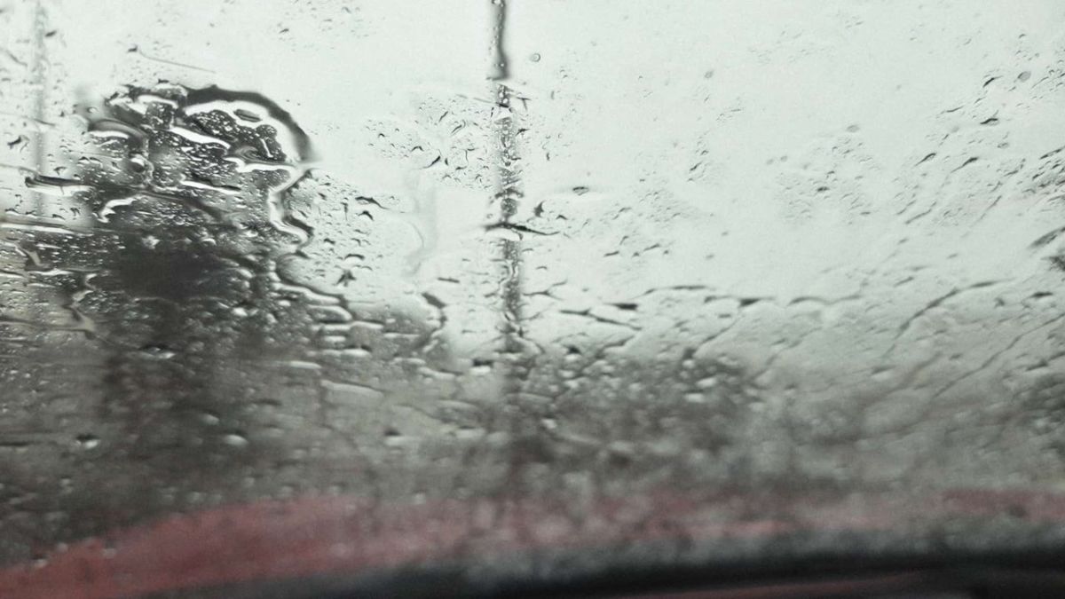 En algunos puntos de Tenerife, como Icod del Alto, ha llovido en pleno episodio de calor