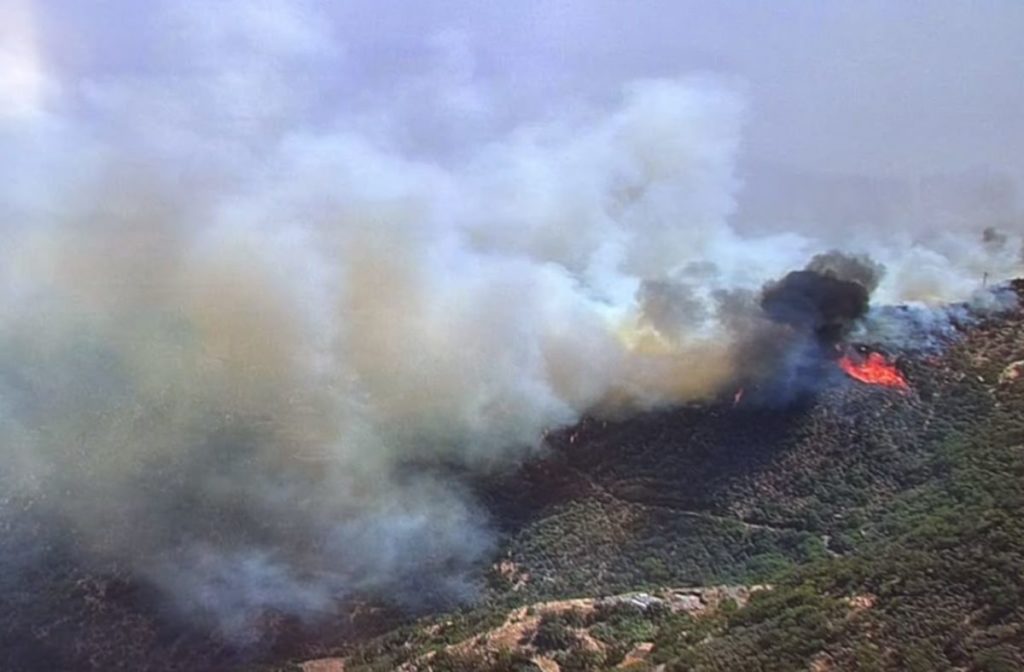 Incendio declarado en la zona de Cazadores, en Telde, Gran Canaria. | DA