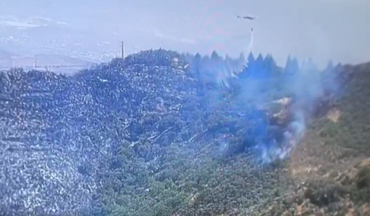 Estabilizado el incendio de “alto potencial” en Gran Canaria tras desalojar viviendas