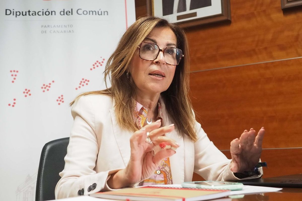 La Diputada del Común, Lola Padrón. | DA