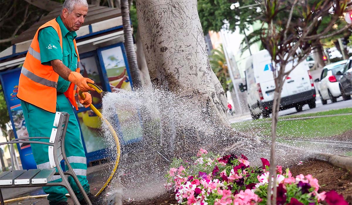 Un informe sitúa a Santa Cruz de Tenerife entre las 250 ciudades mejores del mundo