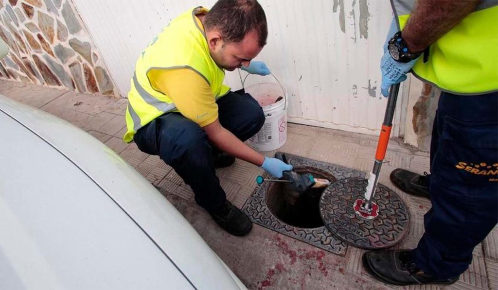 Estos barrios de Santa Cruz de Tenerife tendrán control contra ratas y cucarachas esta semana
