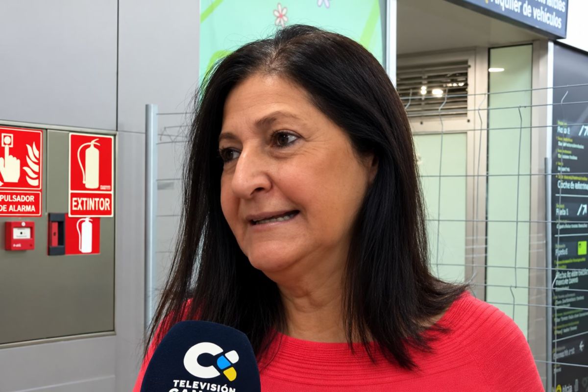 Eulalia García, consejera de Movilidad, sobre las escaleras del intercambiador de Santa Cruz: "Iremos poco a poco, tardaremos unos 7 meses"