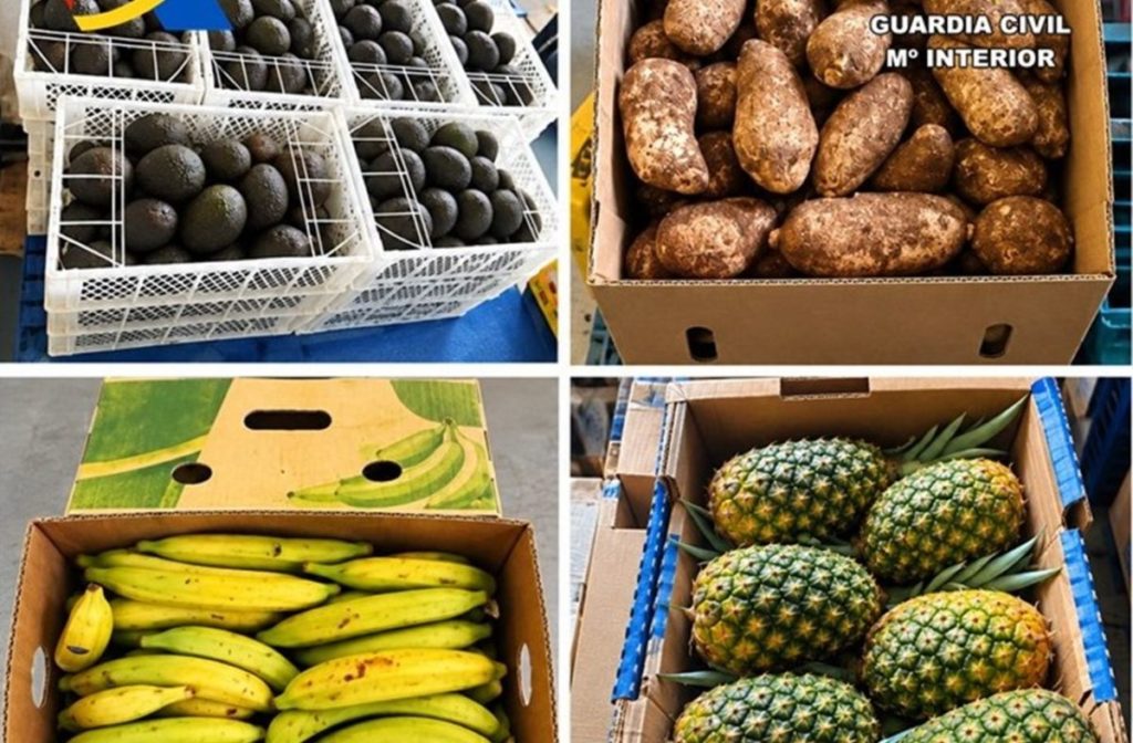 La Guardia Civil interviene dos toneladas de fruta tropical ‘prohibida’ en el puerto de Santa Cruz de Tenerife