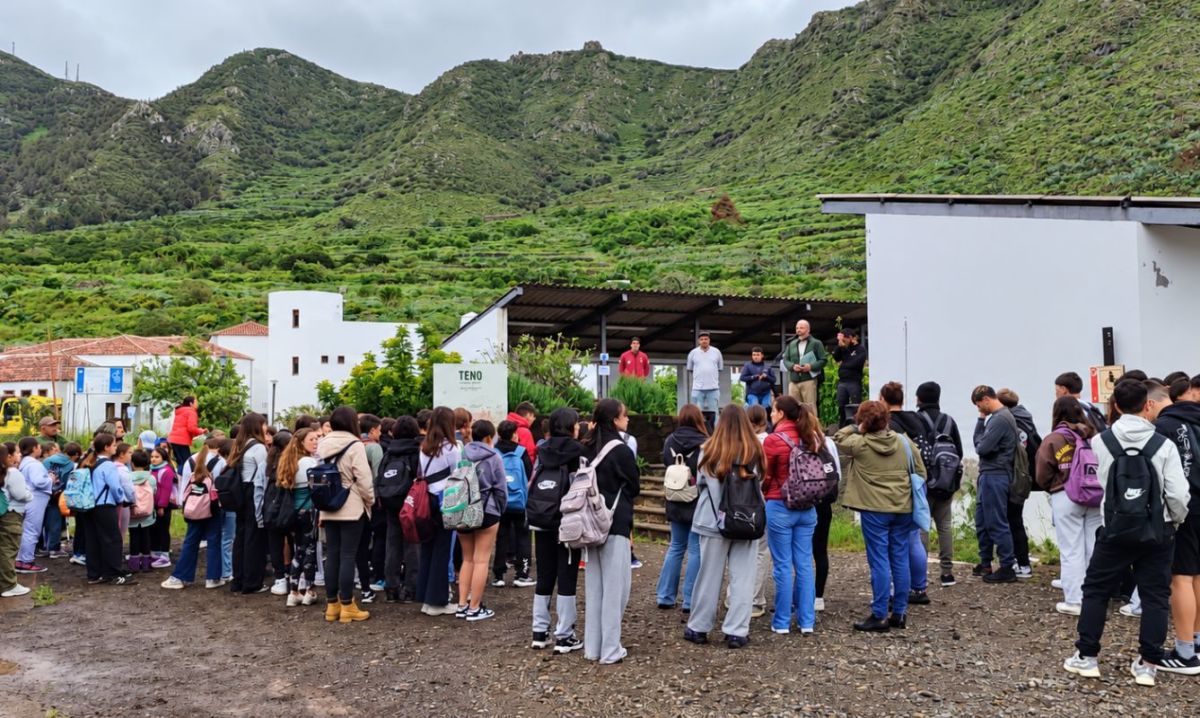 Redeia, por una transición energética participativa, integrada y socialmente legítima