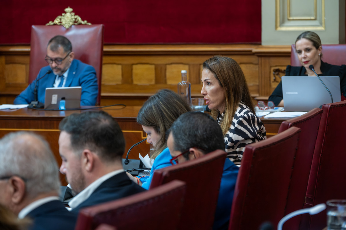 La guerra entre partidos impide hacer política ciudadana en un tenso pleno del Ayuntamiento de Santa Cruz
