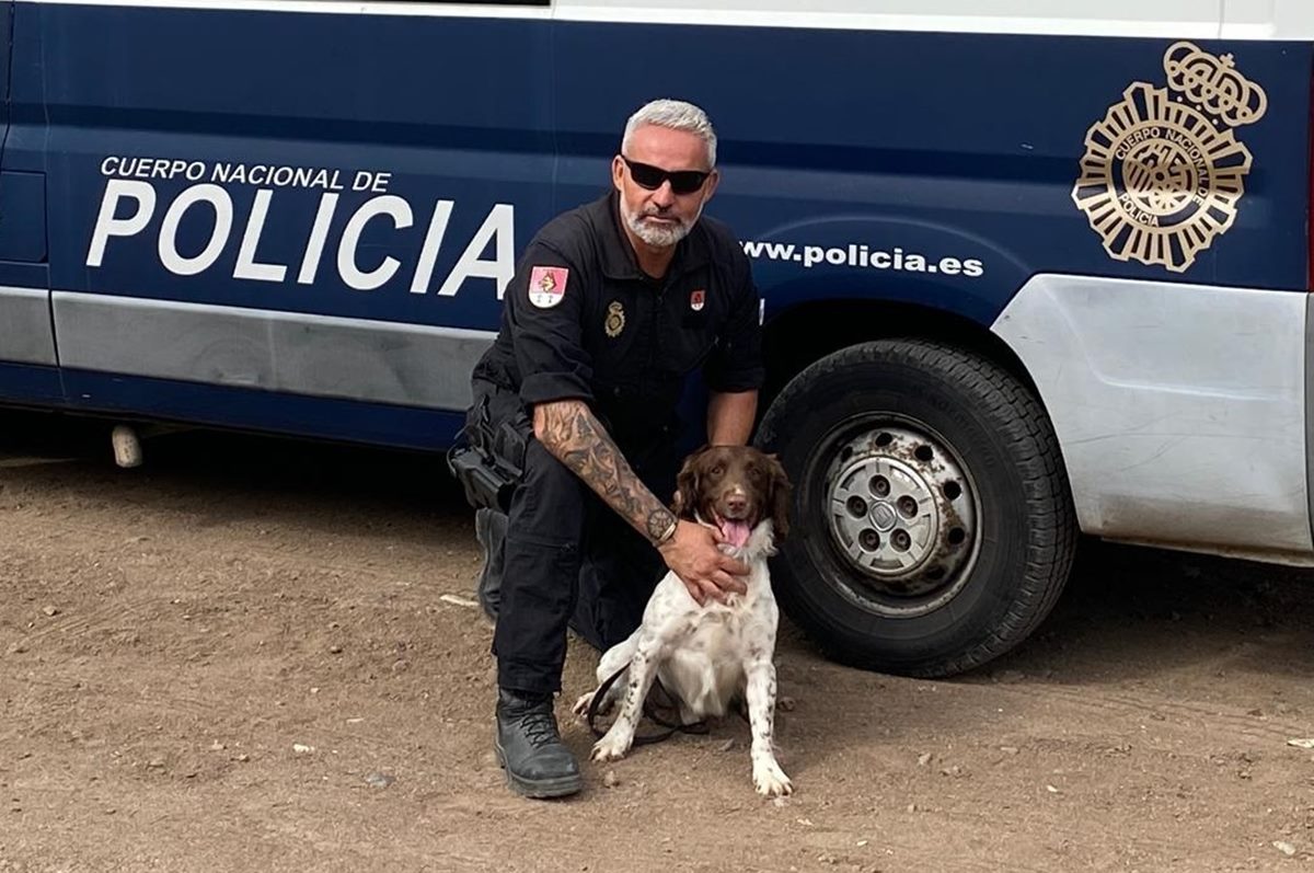 Rony, el perro de la Policía Nacional que encontró a dos desaparecidos en Canarias y ayudó en la DANA