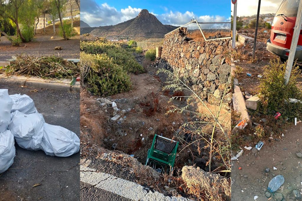 Una plaga de ratas y un talud desprendido junto al colegio: denuncian el abandono en Cabo Blanco