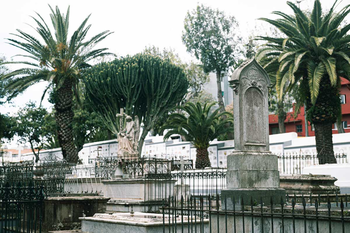 La Laguna amplía los horarios de sus cementerios por Todos los Santos: días y actividades