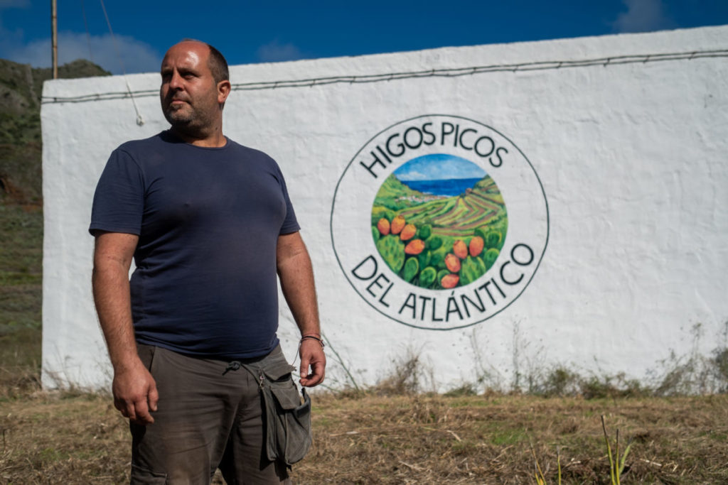 Ángel Amaro, el agricultor de Tenerife que quiere llevar el higo pico a Alemania: “Es mi mayor fuente de ingresos”