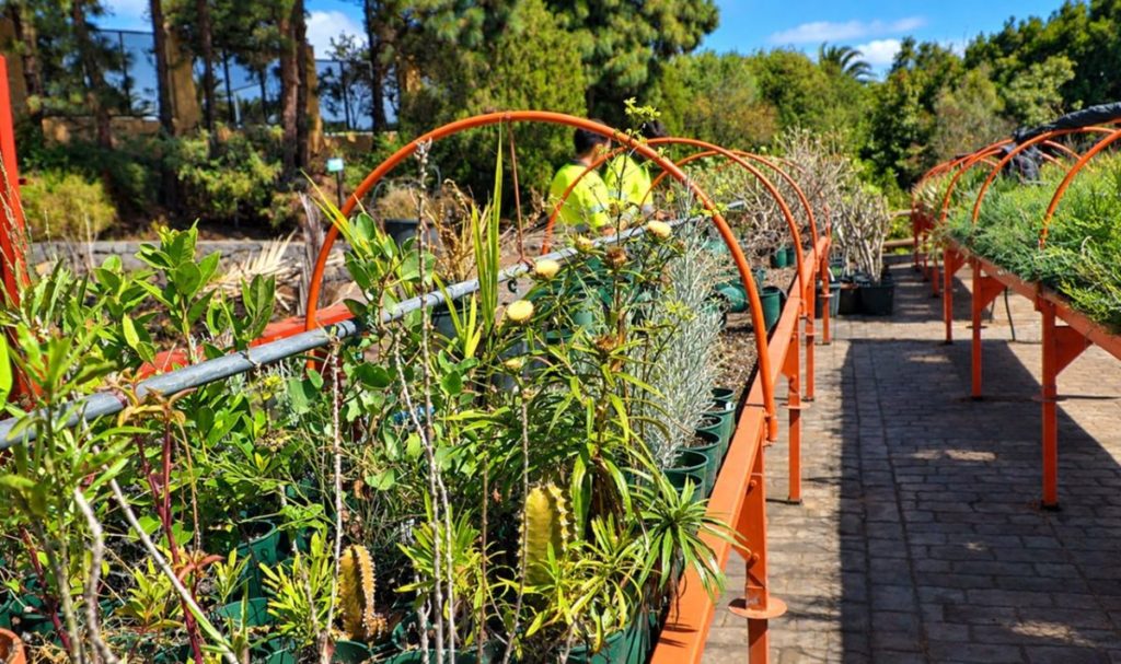 La Tahonilla abre sus puertas para descubrir a los ´Guardianes de la Biodiversidad´
