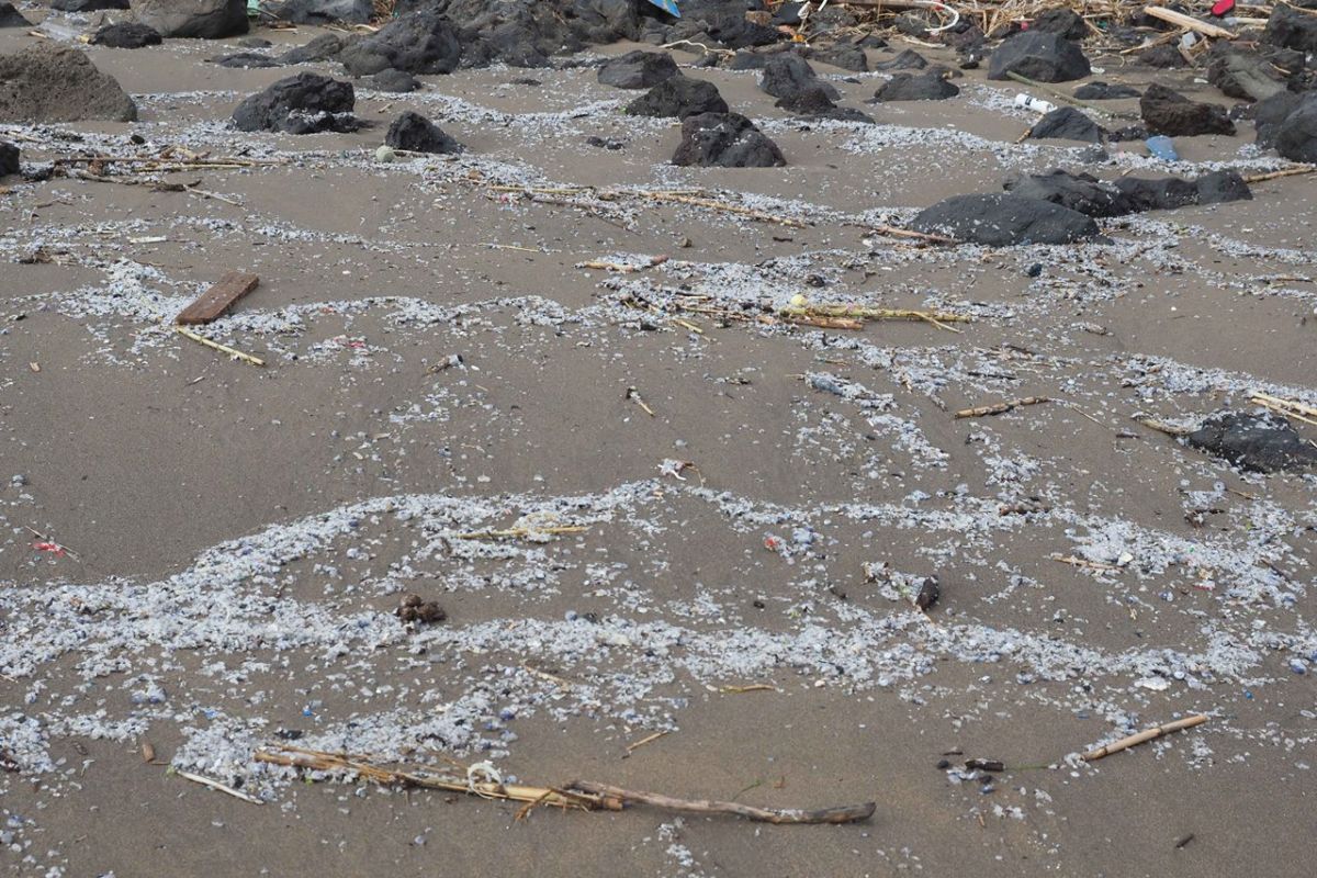 Basura y plásticos en una playa de Tenerife. | DA